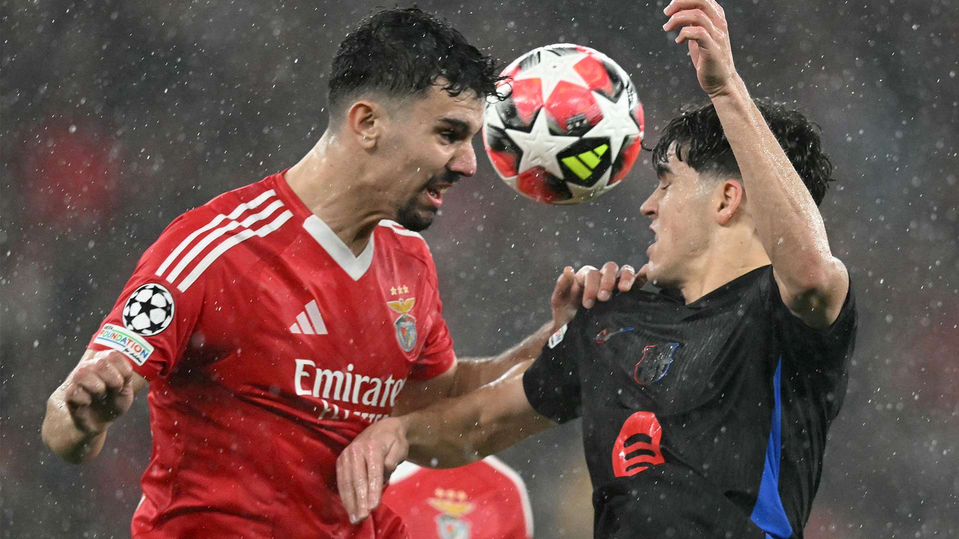 在于他不仅 在于他不仅