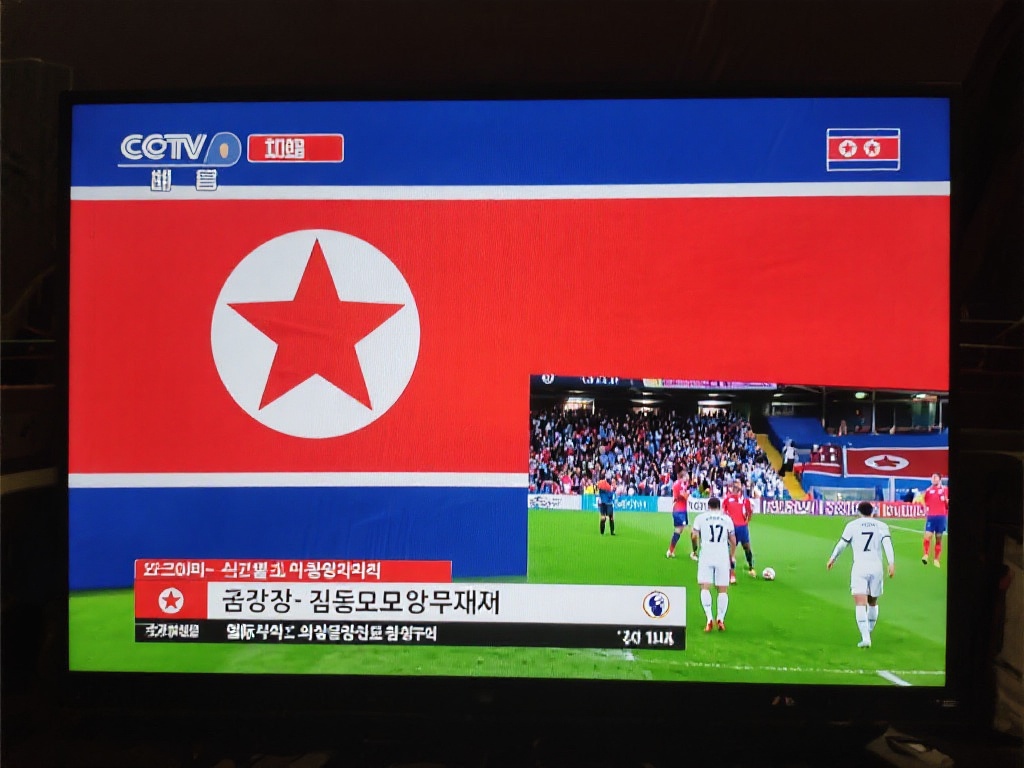 具观赏性的 具观赏性的